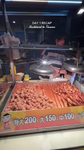 HOLIDAY RECAP: DAY 1 #dailyvlog #taiwan 