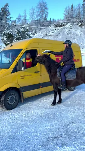 Ad. This is how I send the packages from my brand to you🐎🤣  #dhlexpress #dhl #funny #horse #haha #equestrian #bestoftheday #equestriangirl #pferde #horseriding 