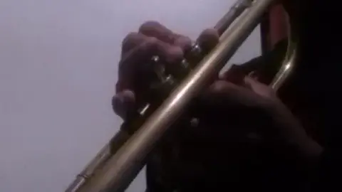 Numb - Linkin Park #linkinpark  #linkinparktribute  #chester  #chesterbennington  #numb  #trumpet  #trompete  #trompeta  #trap #sax #saxophone #solo