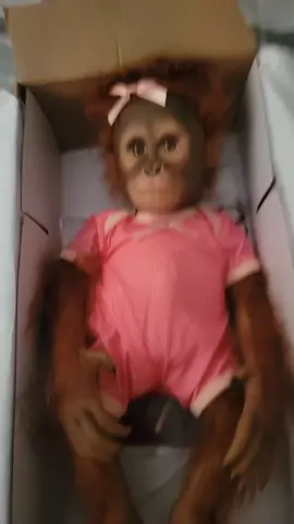 see u on the flip side annaHELL #haunted #hauntedmonkey #annabelle #disappointmentofthefamily 