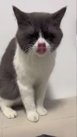 😳