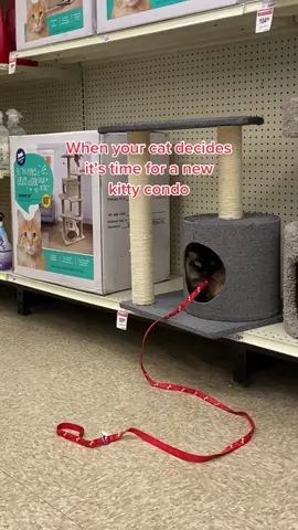 And that’s on being purr-suasive #cattree #petsmart #kittycondo #whocantakeyourmoney 