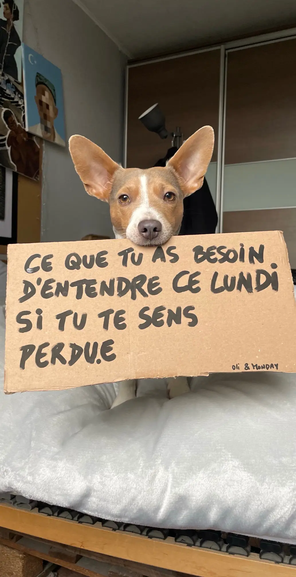 courage à vous pour la reprise de la semaine. N’oubliez pas que Monday existe pour nous faire aimer le lundi. Toutes les pancartes du lundi de Monday sur insta : ileauu ❤️