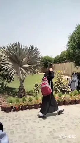 pgc sdk girls campus 