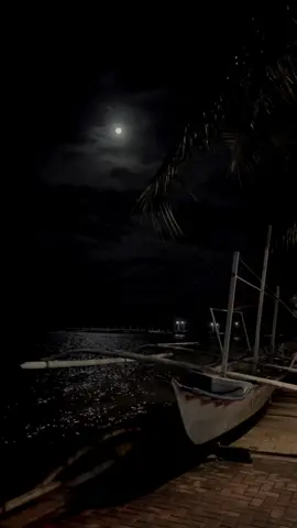 Oh, you're moonlight. Harder to see, but there for those who look 🌕 #darkacademia #darkaesthetic #darkacademiaaesthetic #moonlight #grungeaesthetic #backgroundvideo #backgroundaesthetic #moonlovers 