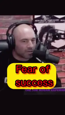 #jre #Relationship #relationshipstruggles #jreclips #joerogan #joeroganpodcast #reachsuccess #success   