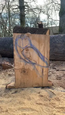 Carve a chunky owl with me 🦉these are great easy first pieces for anyone trying out chainsaw carving!  #manandhisdogcarvings #owl #chainsawcarving #chainsawart #chainsawsculpture #chainsaw #artoftiktok #trysomethingnew #fypシ 