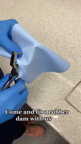 Rubber dams are used in dentistry for a few reasons. It is used to protect the patient’s airway and to isolate the tooth to prevent moisture and bacteria contaminating the tooth during procedures. We commonly use them for Root canal treatments, crown fits and composite restorations 🦷 #dentist #dentalsmileschelmsford #chelmsford #rubberdam #rootcanal #rootcanaltreatment #composite #brushin #dentalstudent #dentalnurse #dentalsmilesessex #smile #airway #moist #dentaltreatment #dreamteam #teamwork #teamworkmakesthedreamwork #fourhandeddentistry #Dr 