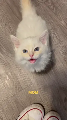 Griffin has some sass like his dad 