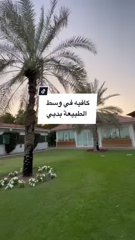 #CapCut @daughterdadcoffee  كافيه وسط اجمل اطلاله في دبي في ورسان في اسطبل خيول المكان جميل للمشي والاسترخاء #CapCut #وجهات_دبي #أجمل_شتاء_في_العالم♦️🖤 #fypシ #WinterVibes #fyp 