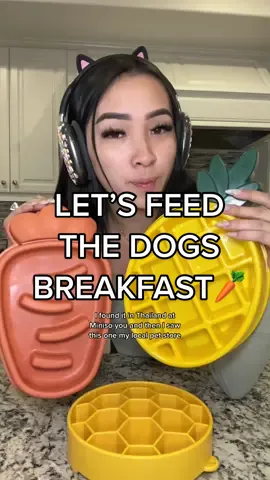 Let’s feed the dogs their breakfast🥕🤪 look how adorable their new slow feeders are I can not🥹 #dogfoodrecipe #dogfeedingroutine #dog 