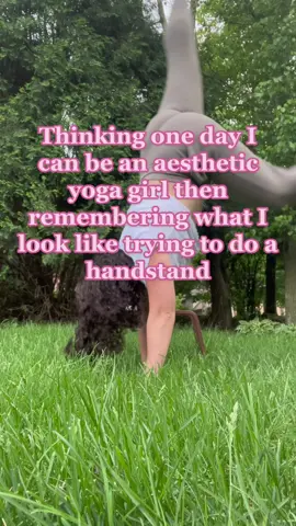 Maybe one day #yogateacher #yogaflow #yogaforbeginners #mindfulness #mindfulnesschallenge #yogatips #handstandchallenge #handstandtutorial #handstandtips 