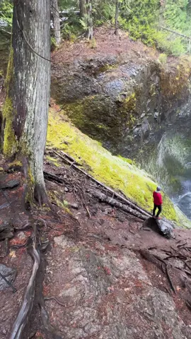 Waterfall Wednesday anyone? I definitely love chasing waterfalls here in Washington 🙌🏻 #washingtoncheck #fyp #hikingadventures 