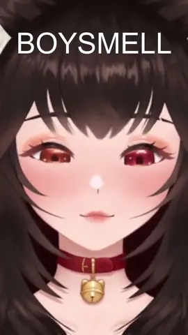 *sniff* BOYSMELL *sniff sniff* #vtuber #boysmell #copypasta #twitch #vtuberclips