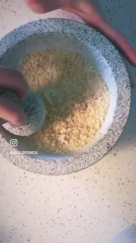 Did you know Frankincense and Myrrh tears will not completely dissolve in a single solvent like oil?  . You gotta pull your sleeves up and grind them down to a powder! 💥 These resins are composed of an alcohol soluble resin + water soluble gum in a homogenous matrix. You gotta break em up to access that oil portion and expose the compounds to the solvent!  . This process of grinding with a mortar and pestle is an ancient practice that connects us with the plant medicine. I admit, my thumbs were cramped for 2 days after this 😐  . Frankincense was infused slowly and patiently in melted coconut oil for our whipped body butter recipe. I would say the time was worth it with the extra dollop we saved for ourselves ☺️  . #frankincense #frankincenseresin #resinsandgums #herbalresins #aromatherapy #frankincenseoil #resin #asmr #asmrgrinding #asmrmortarandpestal #mortarandpestle