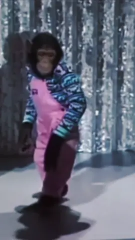 Michael Jackson’s Chimp ‘Bubbles’ Can Moonwalk 😭🤌 | #michaeljackson #thr1llern1ght #mjinnocent #applehead #foryoupage #innocent #fyp #viral #foryou #xyzbca #fypシ #jackson #trending #goviral #kingofpop #mjstan 