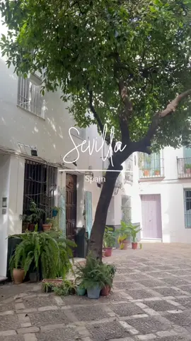 Sevilla tiene mi corazon 🫶🏼 #sevilla #sevillaespaña #sevillano  #sevillaspain #travel #travelguide #sevillespain #sevillespain🇪🇸 #visitseville #visitsevilla #europetravel #spaintravel #visitspain #sevillaciudad