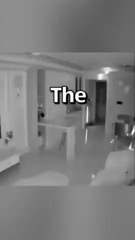 STRANGE LIGHTS Caught on CAMERA 😱 | Wholesome Moments #animals #cat #kittycat #catsoftiktok #kitty 
