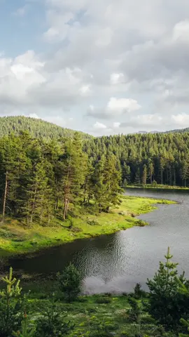 Moments from super inspiring nature spots around Bolu. 🌿 #GoTürkiye #Bolu  #tiktoktravel #Nature #Traveltok #Traveltiktok #Türkiye #Travel #FYP  #Discover #Explore 