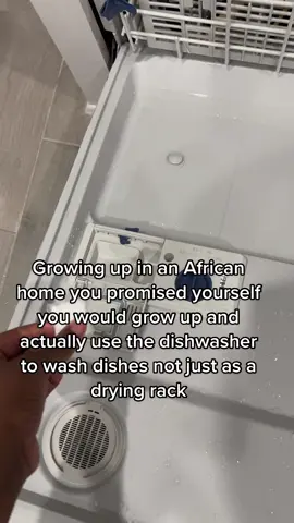 We are using the dishwasher here! Who can relate.  #dishwasher #africanhome #africanhomesbelike #washingdishes #africantiktok #zimbabwe #zimbabweantiktok #fyp #fypシ 
