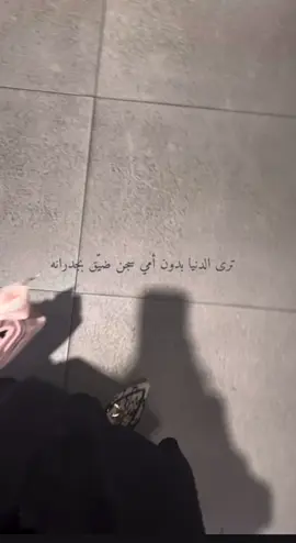 #امي #fly #humor #viral #viralvideo #explore 