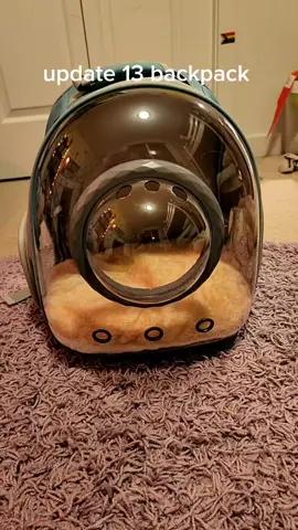 update 13 bed #prep #chinchilla #babychinchilla #chinchillas #pets #PetsOfTikTok 