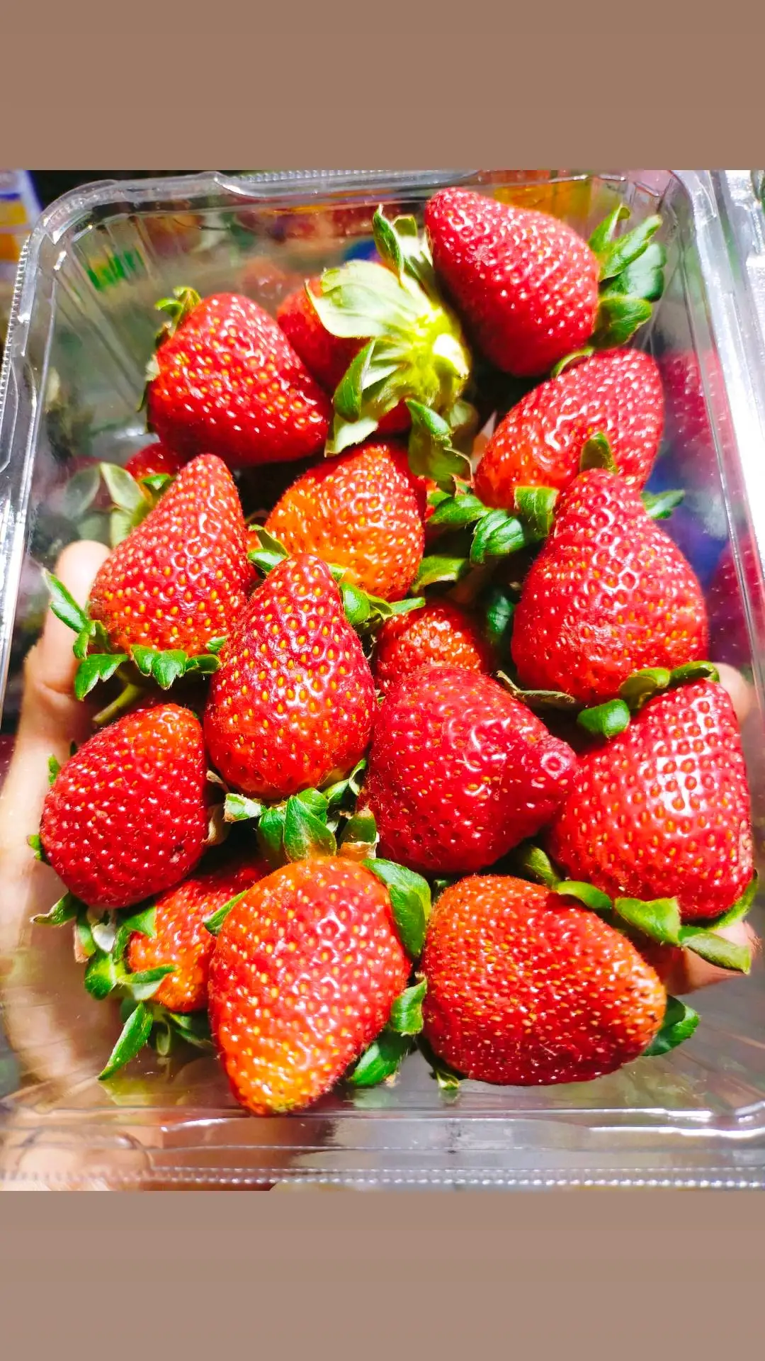 #TaraSaBaguioAsAFriend #Baguio #BaguioFeels #Travel #Tours #Gala #Panagbenga #Strawberries 