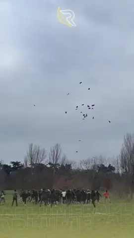 ZIAK a donné RDV à ses fans aux Bois de Vincennes ! 🌳 Il leur a fait envoyé des bandanas par drone !  #Ziak #Chrome #RDV #Bandana #rapfr #raplume 