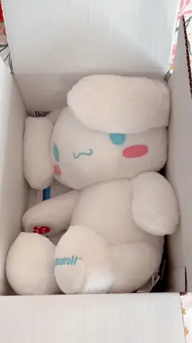 he’s here and he’s perfect! 🤍 #buildabear #sanrio #hellokitty #cinnamoroll 