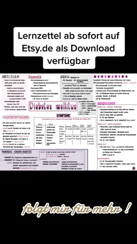 Lernzettel Diabetes Mellitus #lernzettel #goodnotes #diabetes #apple #applepencil #ipad #lernen #ausbildung #pflege #etsy #nursesoftiktok #anatomie 