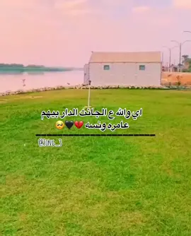 ضيفوني انستا 👈 @3ing_3 #القطة_فائقة_الثبات #شعراء_وذواقين_الشعر_الشعبي #عتابات_مؤثرة_حزينة #الزوية_تكريت_الشرقاط🖤 #اسماعيل_الحويري @murjo2 @ahmedalhibi20 