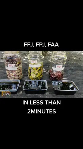 Easy Version of FFJ, FPJ, FAA in less than 2 minutes only here @urbangardeningdiy