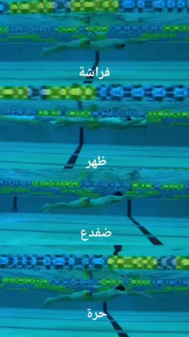 انواع السباحة #swimming #swim #3ayd_al3taby #fypシ #fyp #foryou 