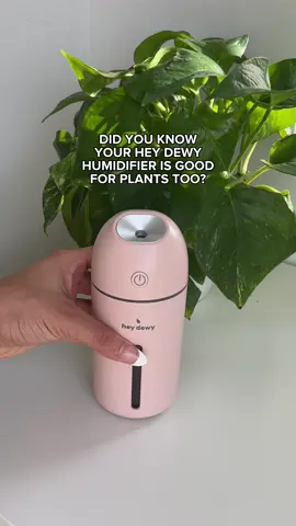 Our Hey Dewy humidifier is not only good for the skin, but your plants can benefit too! Set this next to your plants for extra moisture, and I promise your plants will thank you. #humidifier #plantcare #plantmom #heydewy #goodfortheskin #skincarelifestyle