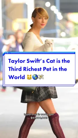 I have never wanted to be a cat so bad…. 🐱 #taylorswift #DidYouKnow #taylorswiftedit #oliviabenson #taylorswiftcats #taylorswiftcats #taylorsversion 