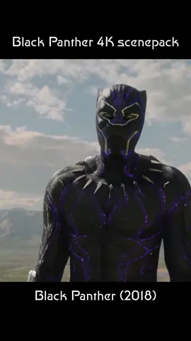 You can find the mega link in the bio #tchalla #blackpanther #scenepack #4k #fyp 