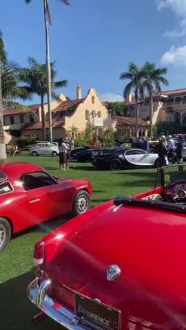 Cars and brunch