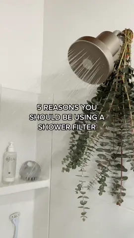 True Life: the @jolieskincompany shower filter changed my life 🔗🔗 is you know where! #jolieshowerfilter #jolieshowerhead #showerfilter #showerfilterhead #showerfilterbenefits #dryhair #dryhairtips #dryhairtreatment #dryskintips #dryskinremedies #cleanwater #waterfilter #waterfiltration #heavymetals #heavymetaldetox #chlorinehair 