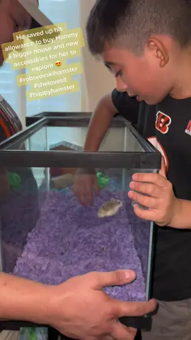 🐹❤️ #roborovskihamster #happyhamster #proudparents 