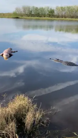 #GatorHunting #AlligatorAttack #HungryGators #GatorSwampLife #GatorKing #GatorNation #CrocodileHunter #GatorBait #GatorGang #GatorSquad #SwampMonsters #GatorMeat #GatorFishing #GatorTrapping #GatorSeason #GatorWatch #GatorChomp #GatorStalking #GatorLodge #GatorHunter #GatorAdventures #GatorGlory #GatorPrey #GatorIsland #GatorLife #GatorVibes #GatorCountry #GatorCountryLiving #GatorOutdoors #GatorSurvival #GatorGrowth #GatorMigration #GatorInvasion