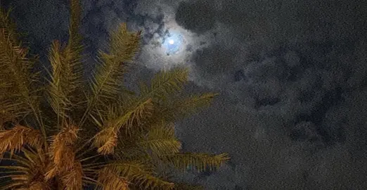 ثمّ بلطفِ الله ننجو🌿. #قران_كريم #اكسبلورر #الوتر #دينيات #اكتب_شي_توجر_عليه 