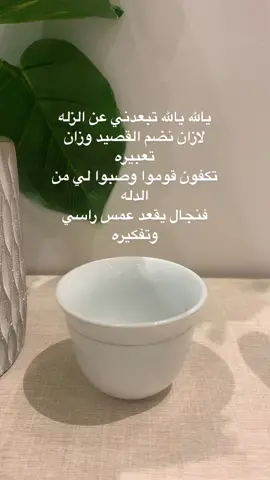 #اكسبلورر 