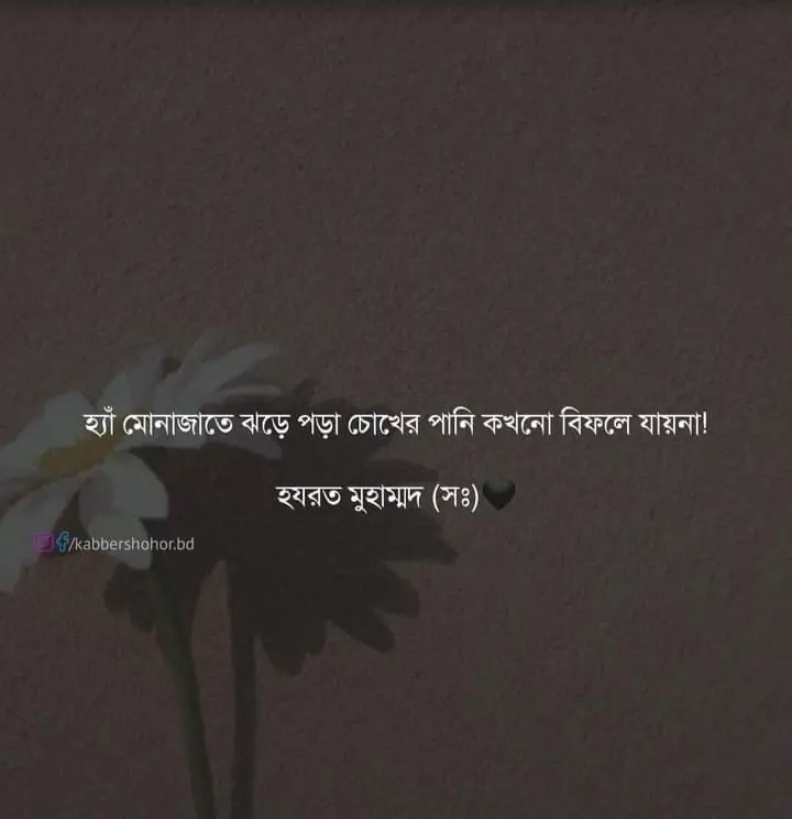 আমি গর্বিত আমি মুসলিম 🥰🥰#for #foryou #foryoupage #Mohasini🥀😌 #immortalheart #lamo🥀😌 #islamic_video 