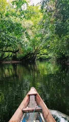 Amazon nya Indonesia.... Sungai yg airnya merah tua... . . . #forrest #Vlog #hutankalimantan #mancing #fypシ #fyp #sungai #kalimantan #kapal 