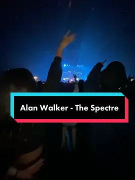 Ladies and gentlemen @Alan Walker #gmosonic #live #Love #lie #thespectre