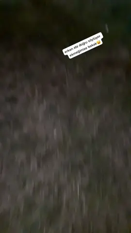 erkan abi 