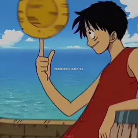 I love this one | OPENING 1 >>> #monkeydluffy #onepieceedit #onepiece #luffy #zorororonoa #sanjivinsmoke #nicorobin #tonytonychopper #namionepiece #usopponepiece #onepieceluffy #mugiwara #mugiwaranoluffy #mugiwaras #equipageluffy #equipageduchapeaudepaille #fry #frixyt #foryoupage #opening1 #opening #edit #editonepiece #zoro #robin #sanji #mugiwaraedits #editmugiwara 