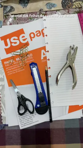 Tutorial das folhas do caderno de discos! ❤️ (me perdoem pela demora, não estava conseguindo postar ontem!!  Obrigada por todo carinho e pelos novos seguidores!  Se quiserem outros modelos de folha podem pedir que eu faço e libero!  #cadernointeligente #tilidisco #cadernodedisco #materialescolar 