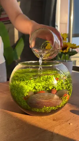 Do you want one?#foryou #goodthing #watergrass #Micro 