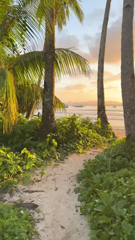 Sunset in El Nido Philippines 🇵🇭#sunset #endoftheday #ocean #vibes 